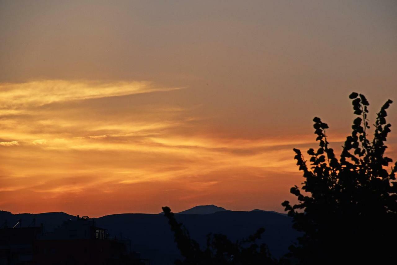Eagles Philadelphia Bed and Breakfast Korce Buitenkant foto
